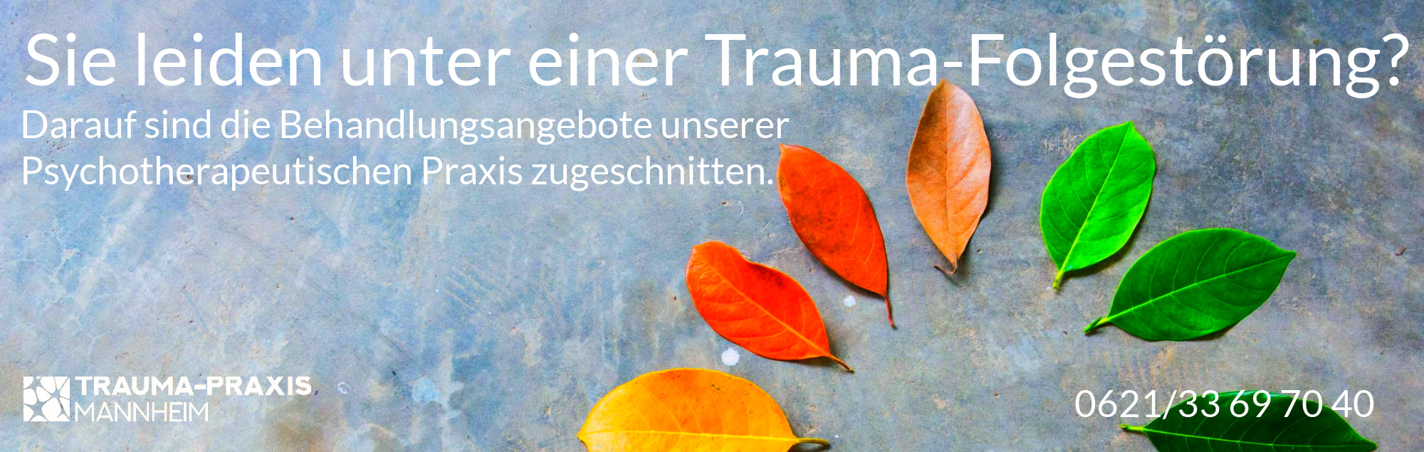 Traumatherapie in Mannheim